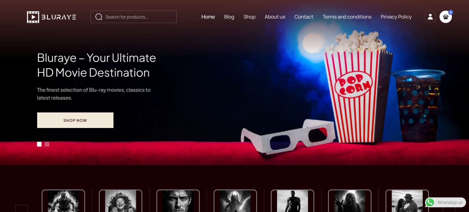 bluraye Portfolio Project - Web Design by Applantics